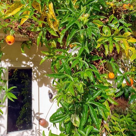 Tracebridge Cottage B&B Stawley Екстер'єр фото