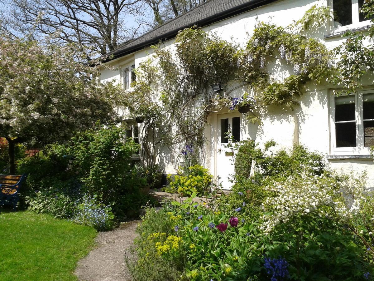 Tracebridge Cottage B&B Stawley Екстер'єр фото