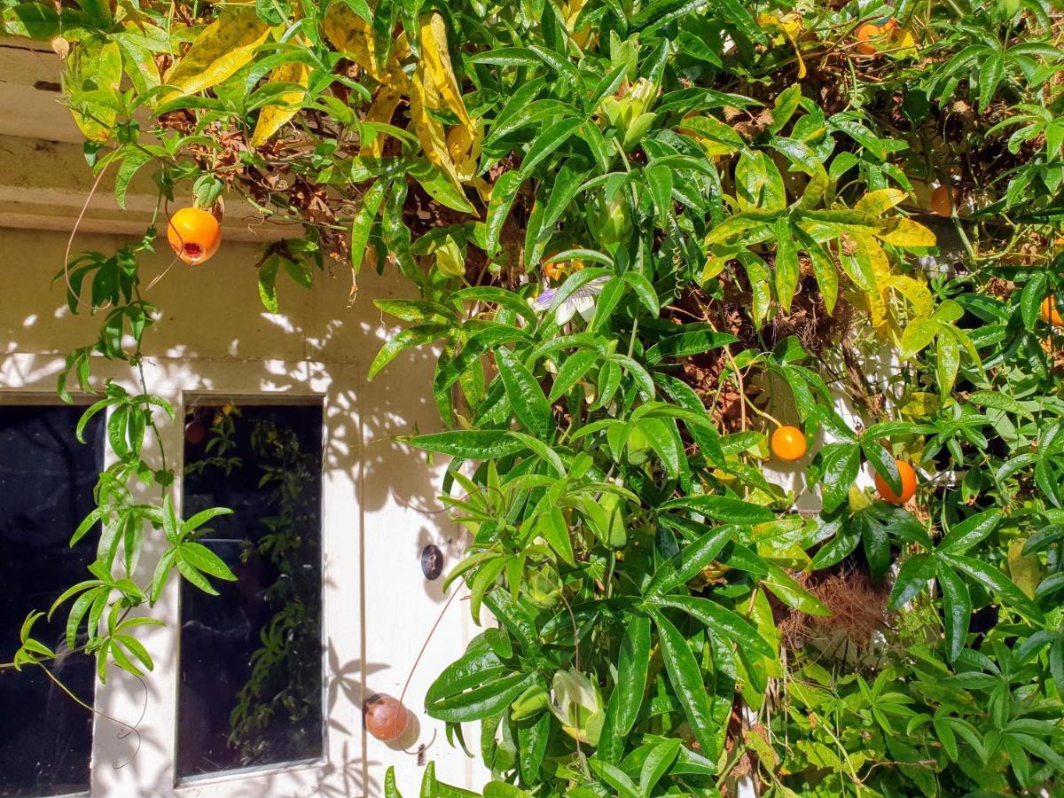 Tracebridge Cottage B&B Stawley Екстер'єр фото